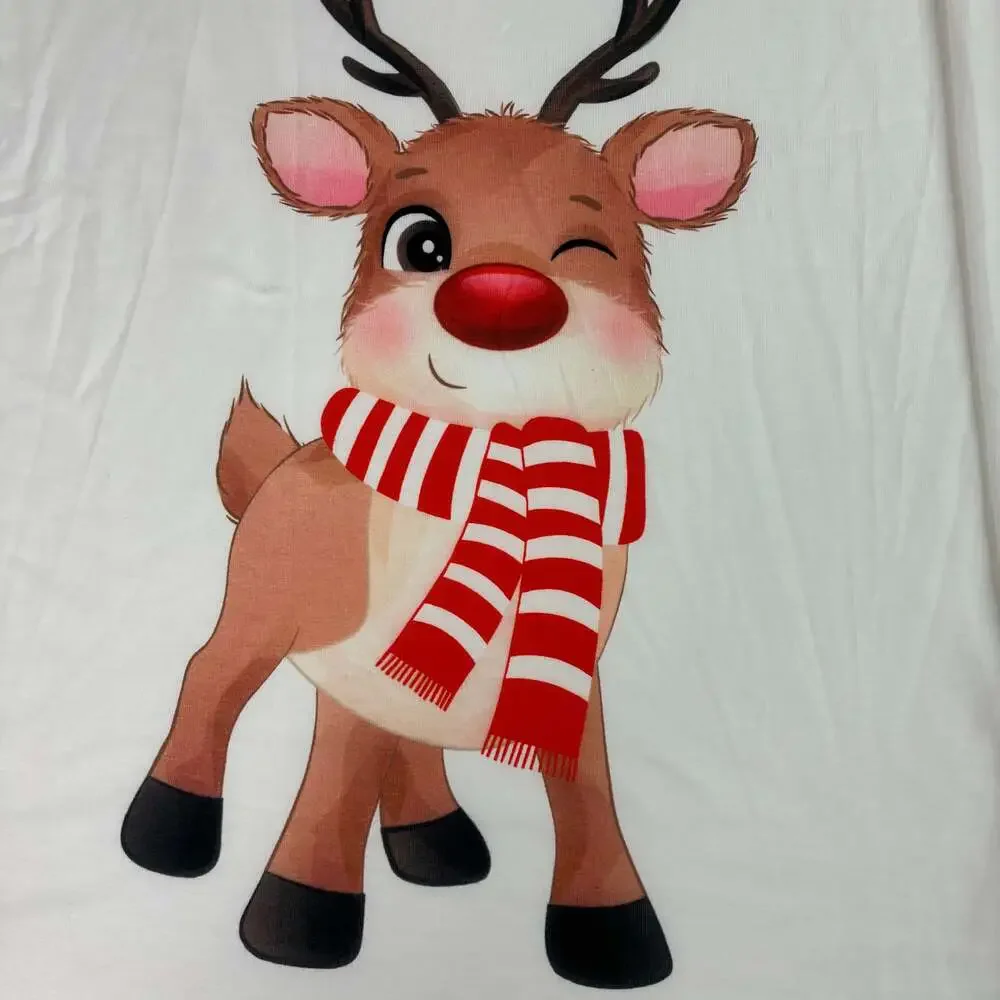 Holiday Time Kids Red Plaid Reindeer Christmas Pajama Set New Size 12Y
